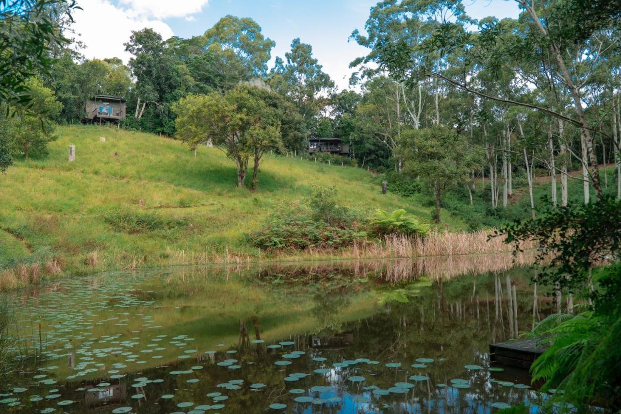 Whispering Valley Cottage Retreat Maleny Exterior photo