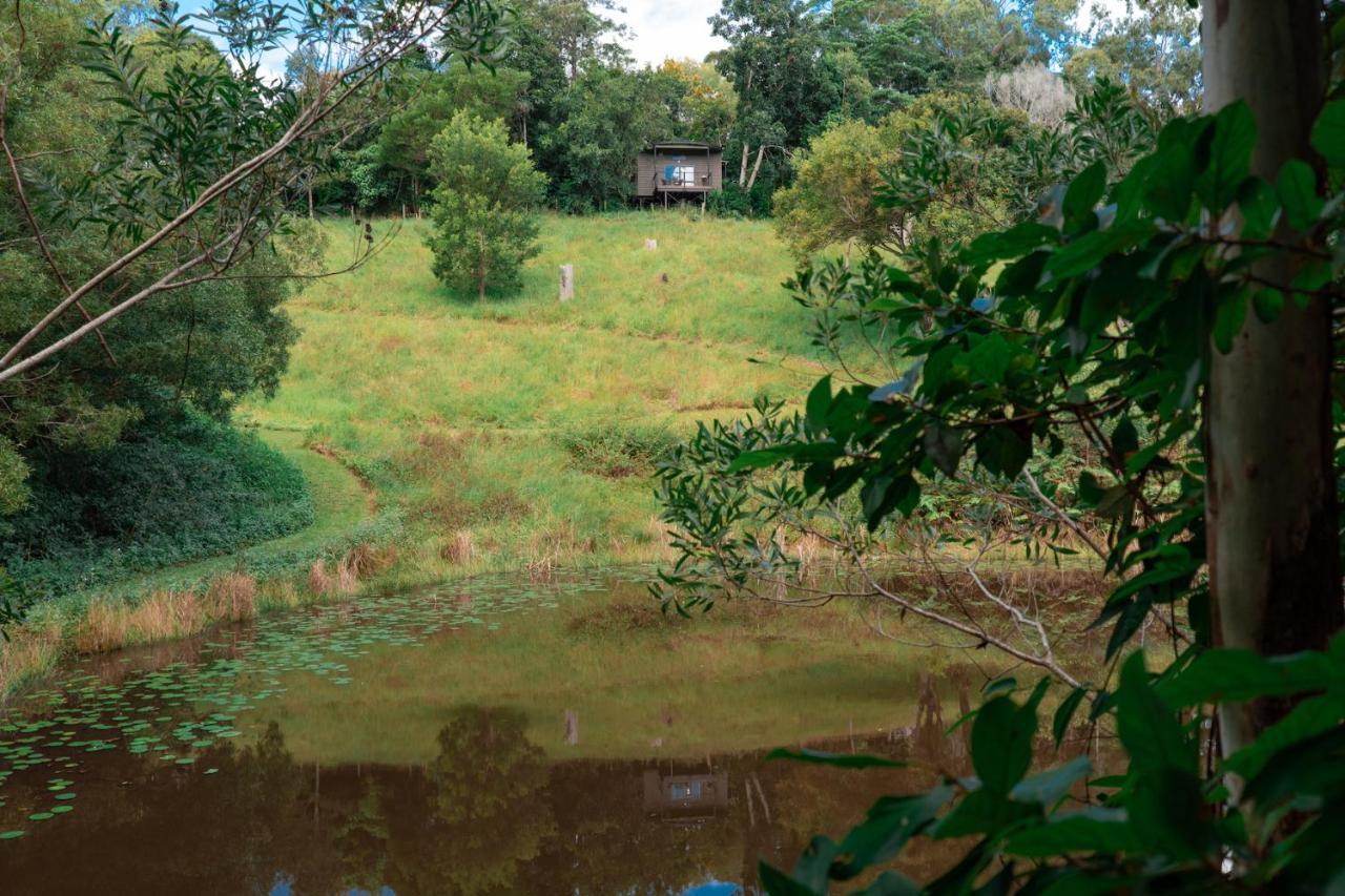 Whispering Valley Cottage Retreat Maleny Exterior photo