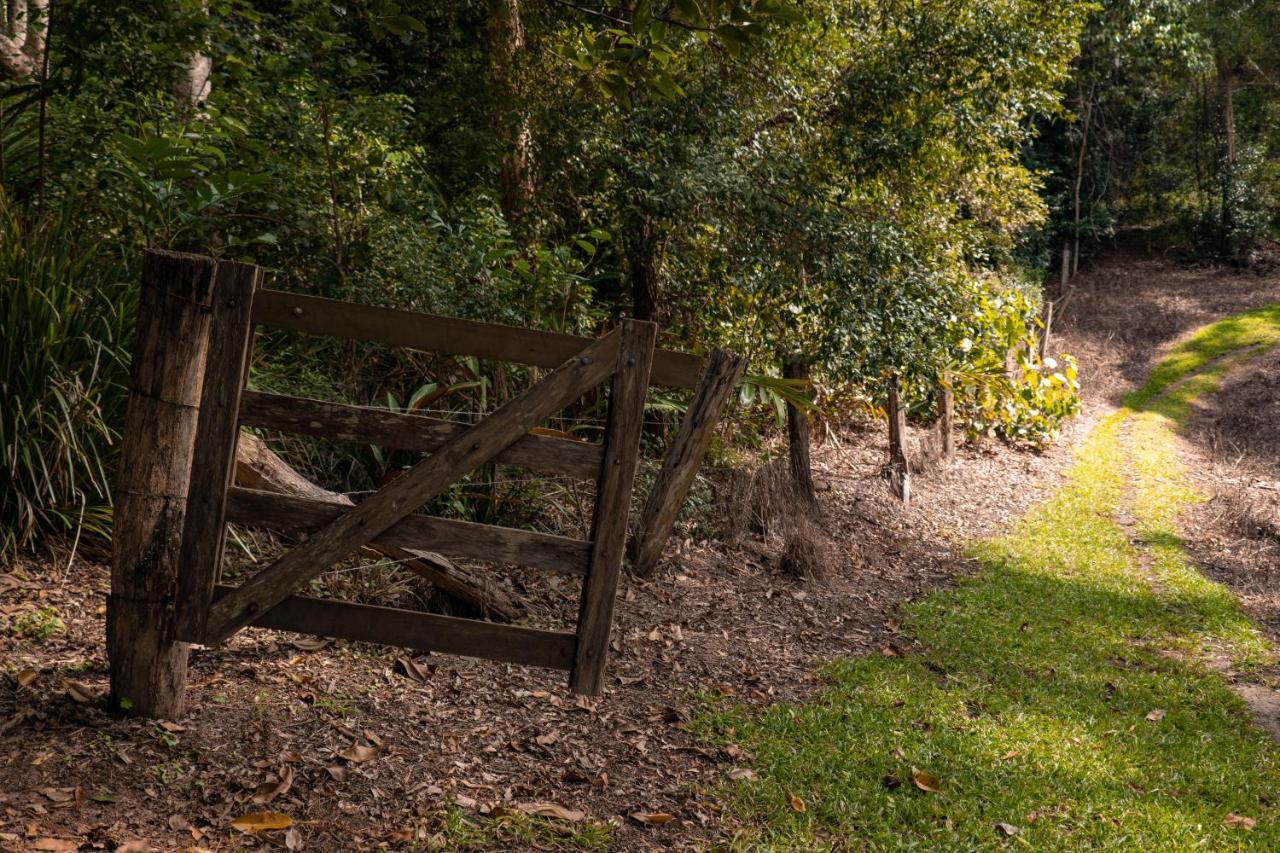 Whispering Valley Cottage Retreat Maleny Exterior photo