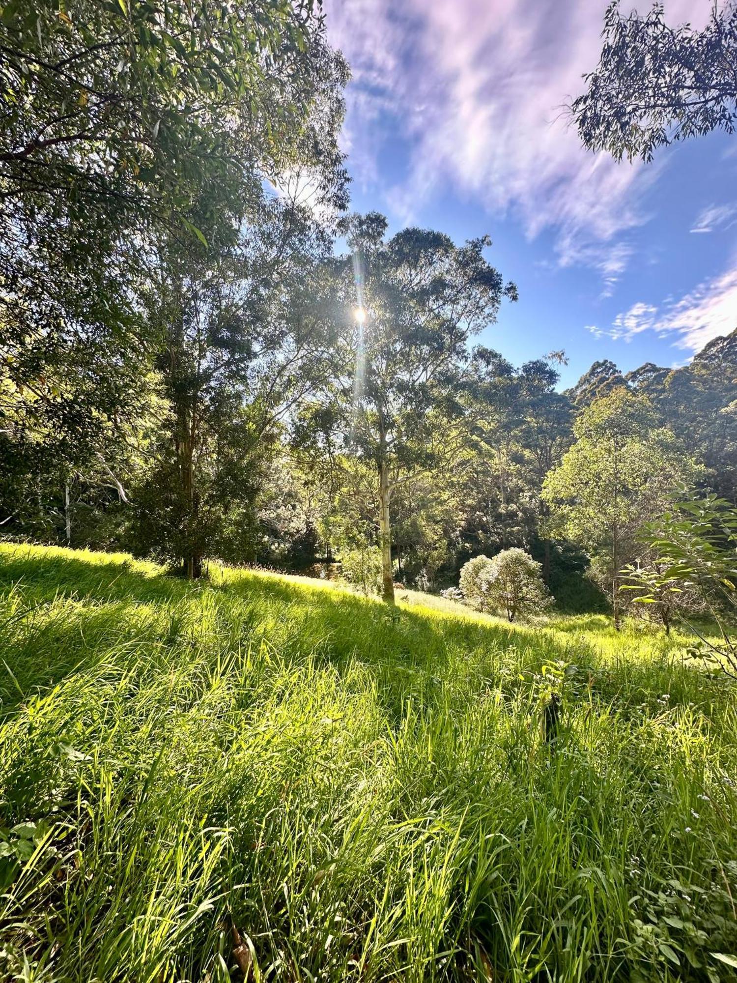 Whispering Valley Cottage Retreat Maleny Exterior photo